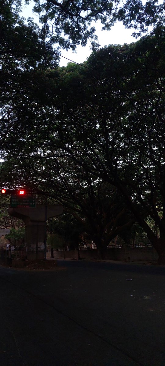 divitsec's tweet image. 