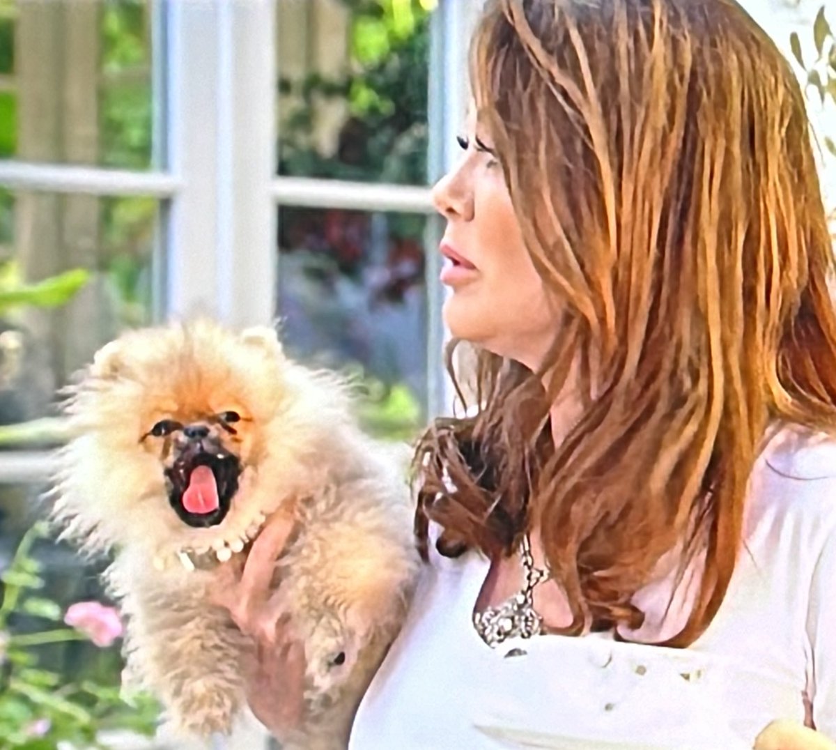 OolaFanForever's tweet image. #WhoseYourDaddy staring Lala, a bowl of macrooni &amp;amp; a yawning dog. This just gets better &amp;amp; better. #PumpRules