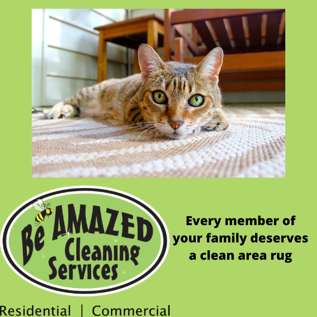 Area rugs should be cleaned every few months. If it's been a while, call us. We'll even give you a free estimate.

#wichita #housecleaning #janitorial #clean #carpet #upholstery #airduct #arearug #dryervent #carpetstretch #carpetrepair #vinylfloor #office #apartment