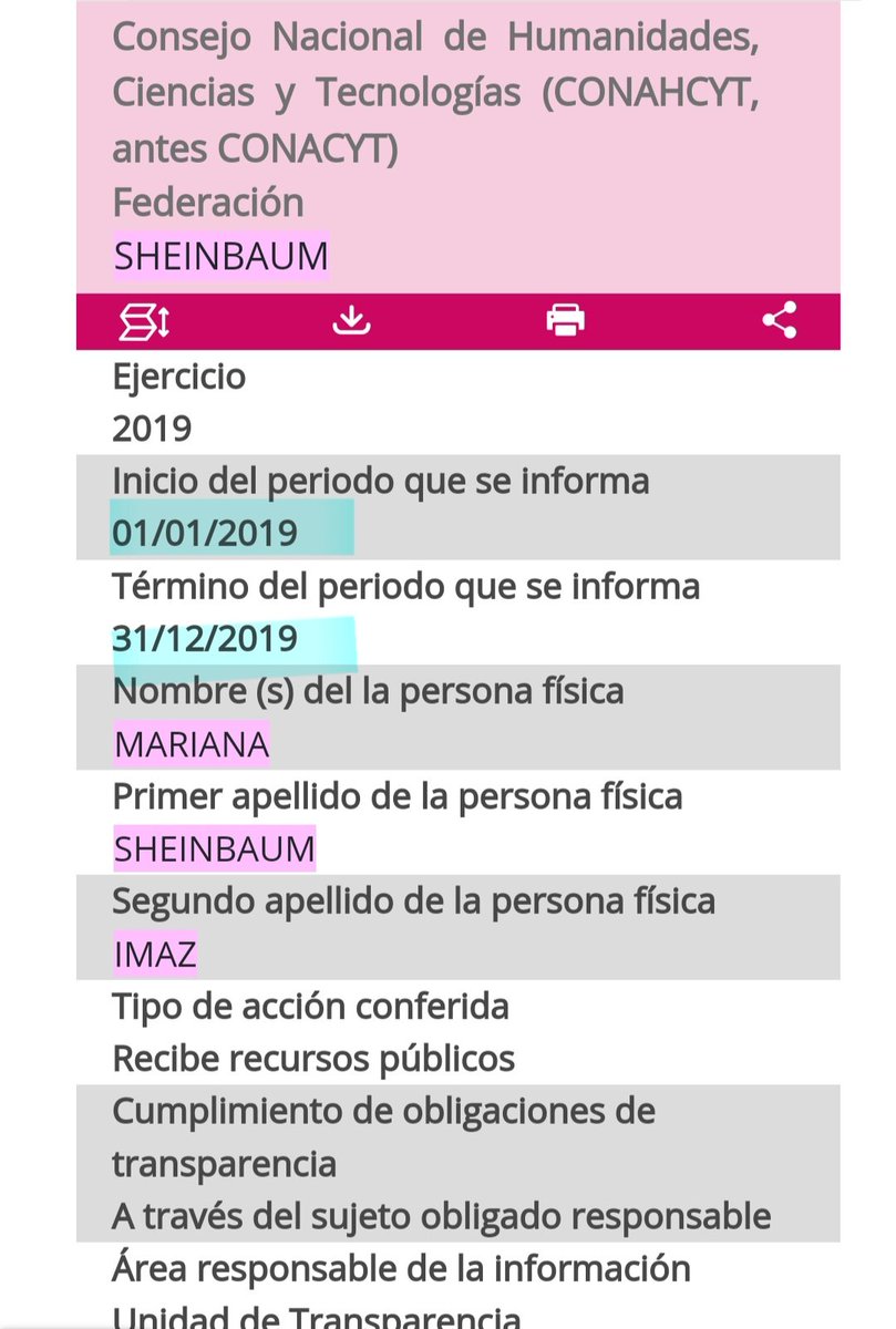 Mariana Imaz Sheinbaum aparece en varios ejercicios con sus apellidos tal cual e invertidos. Oficialmente, estaríamos hablando de dos personas distintas. Aunque con esos apellidos, no es difícil adivinar que es la misma. ¿Error o cobro doble?