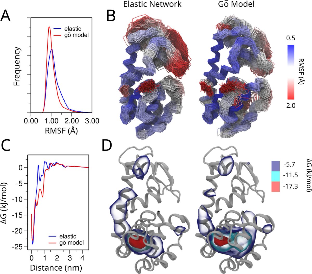 I am proud to present our work “GōMartini 3: From large conformational changes in proteins to environmental bias corrections”.

Take a look in the <a href="/biorxivpreprint/">bioRxiv</a> here:  biorxiv.org/content/10.110…