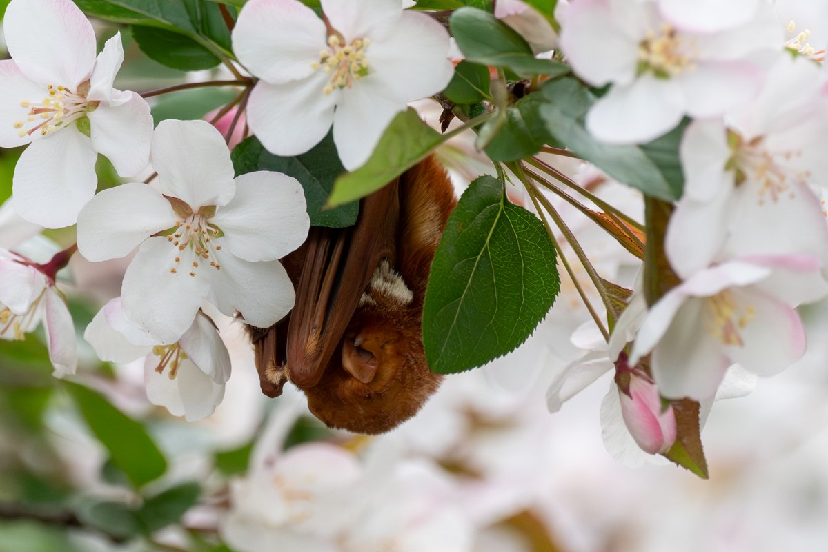 Tracy Pennoyer tweet media