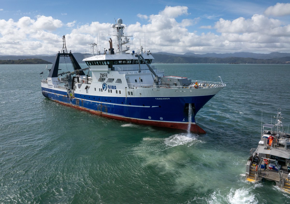 New NIWA research shows ship anchors may cause extensive and long-lasting damage to the seafloor. ⚓ 🚢 Read the full story here ➡️ niwa.co.nz/news/new-study…