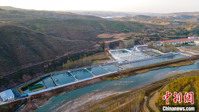 VoiceofPD's tweet image. #SpringinChina
Mountainous village in N China's Shanxi generates wealth through salmon farming
Read full: en.people.cn/n3/2024/0416/c…