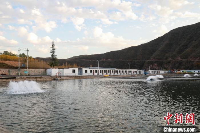 VoiceofPD's tweet image. #SpringinChina
Mountainous village in N China's Shanxi generates wealth through salmon farming
Read full: en.people.cn/n3/2024/0416/c…