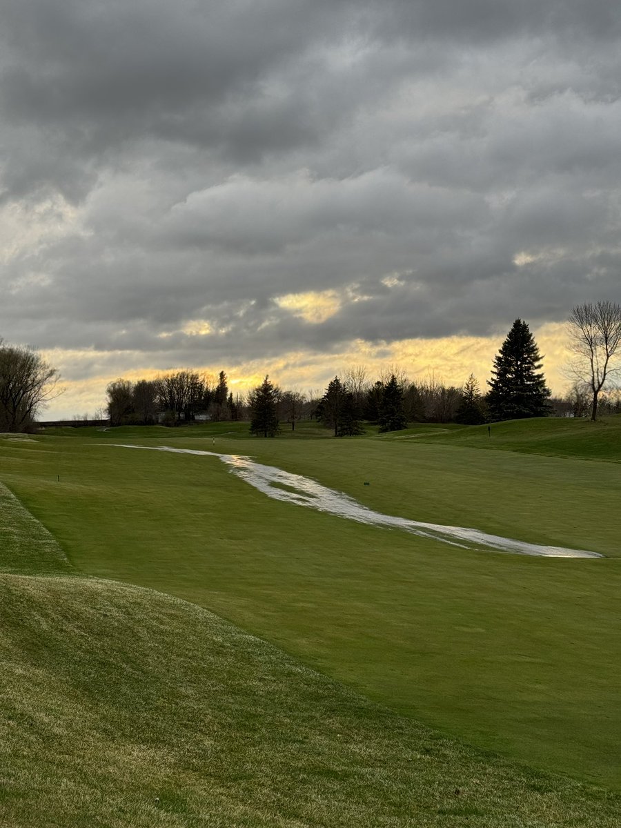 Rush Creek Turf tweet media