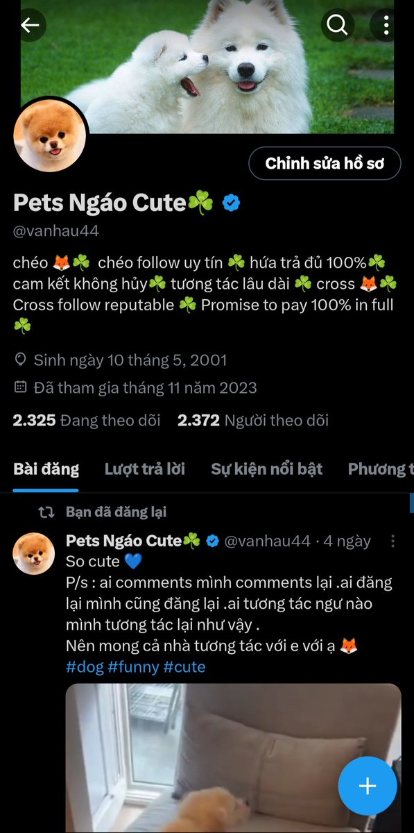 Pets Ngáo Cute☘️ tweet media