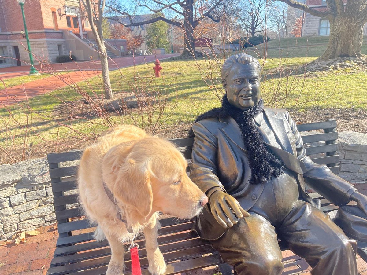 Over 800 @IUBloomington faculty and my dog Monty voted today for a return to respect for #AcademicFreedom and transparency from our administrators #HermanBWells @kinseyinstitute @GenderStudiesIU Wonderful show of solidarity by our faculty
