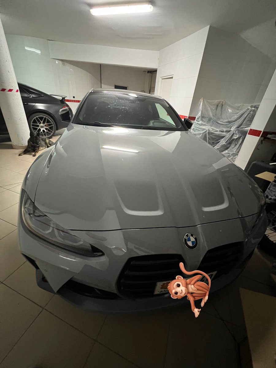 Spooky ElmilloR 🎃 tweet media