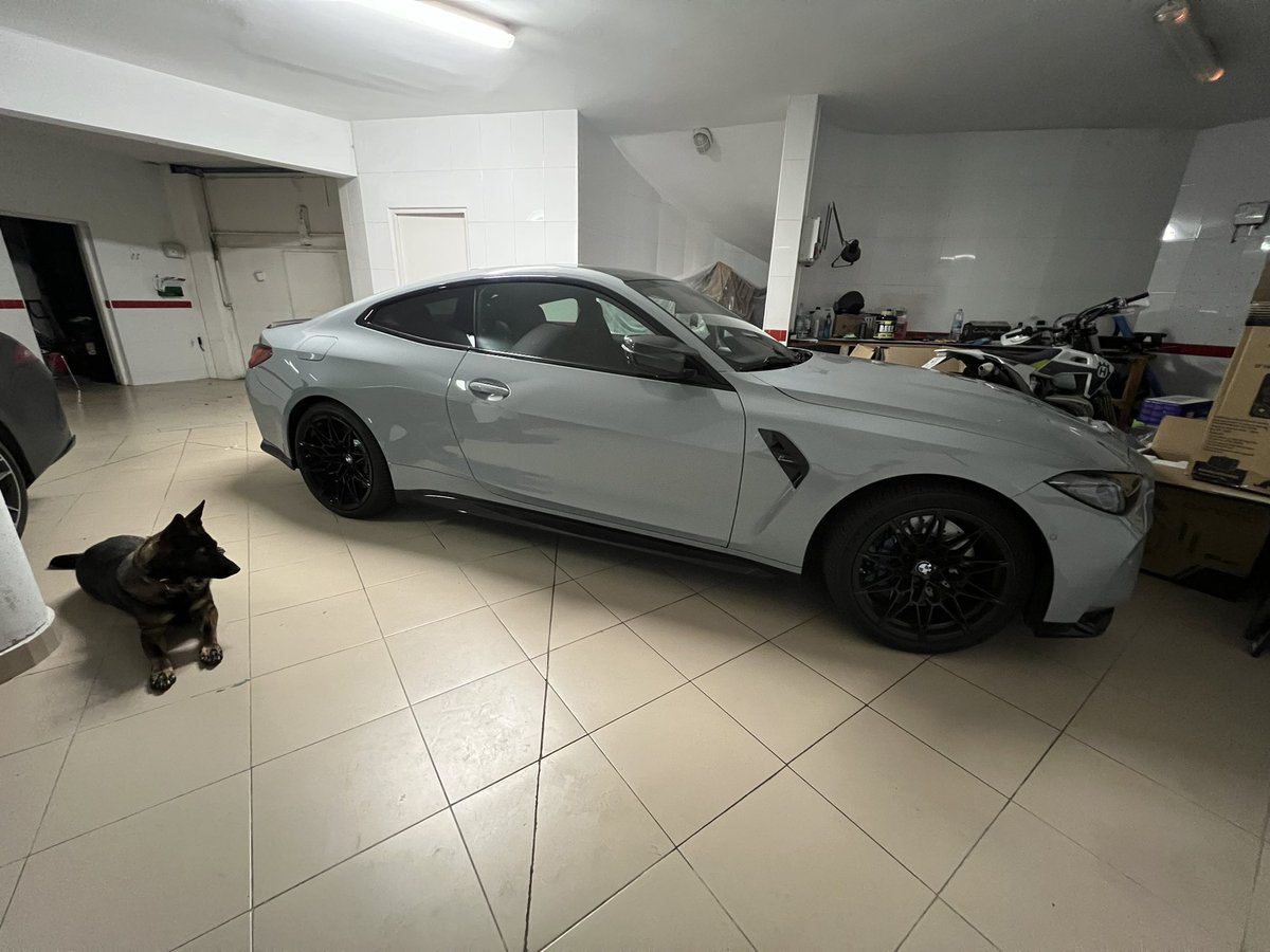 Spooky ElmilloR 🎃 tweet media