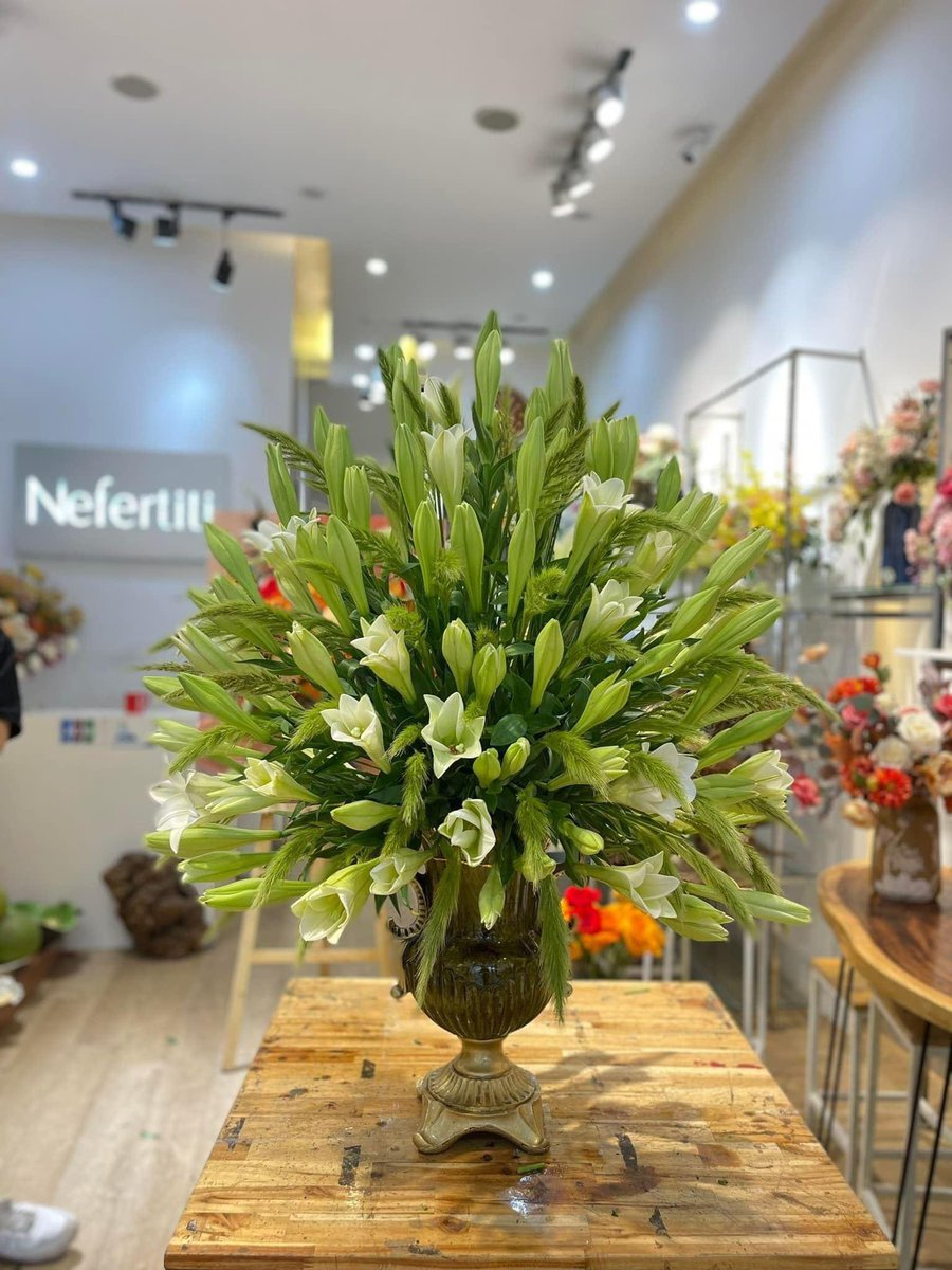 Mùa hoa loa kèn
bạn đã tự cắm cho mình 1 lọ chưa 🤓