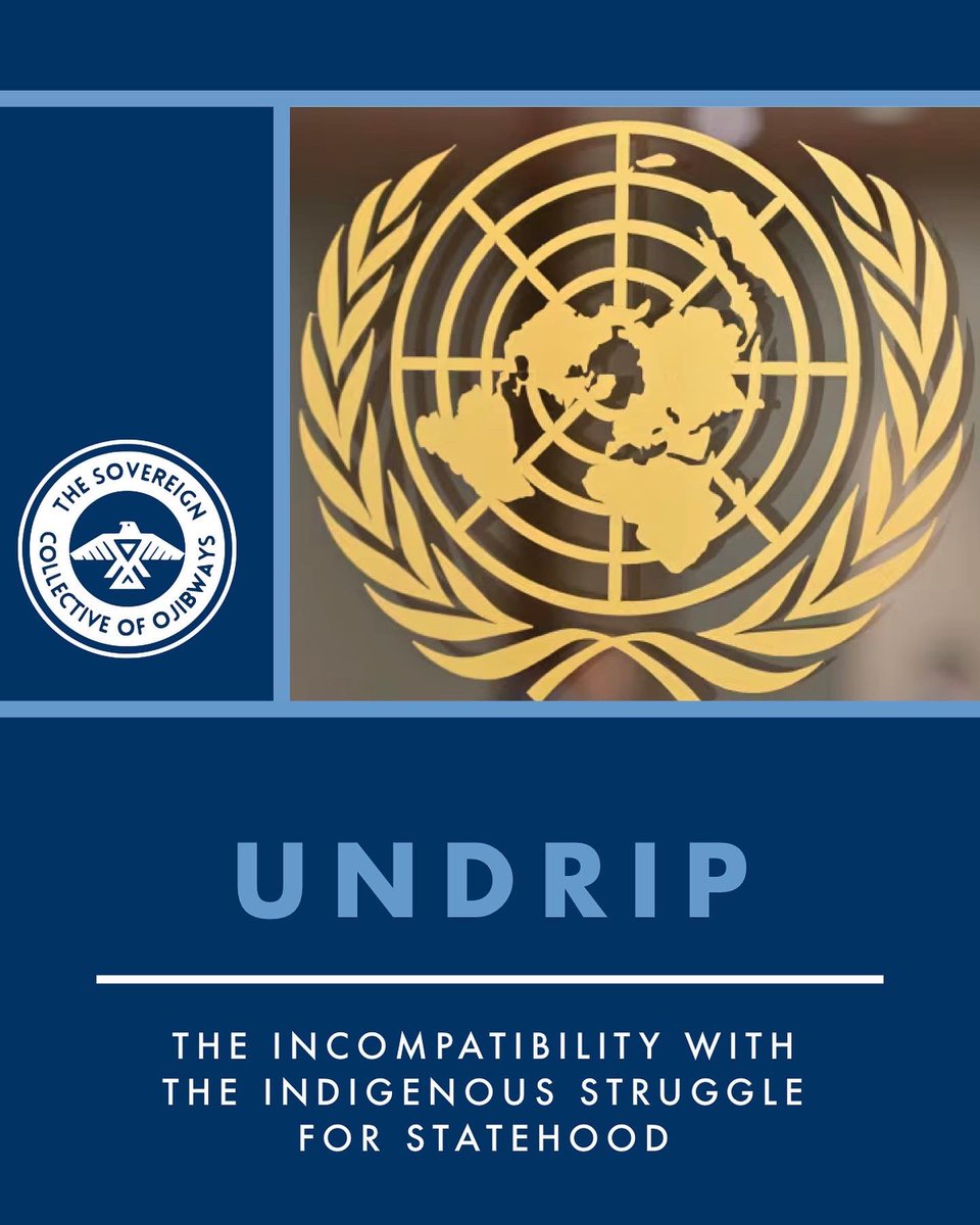 scojibways's tweet photo. 🇺🇳📃 — United Nations Declaration on the Rights of Indigenous Peoples & the Incompatibility with the Indigenous Struggle for Statehood.
#UNFPII #UNDRIP #UnitedNations #IndigenousRights https://t.co/mw92Obloee