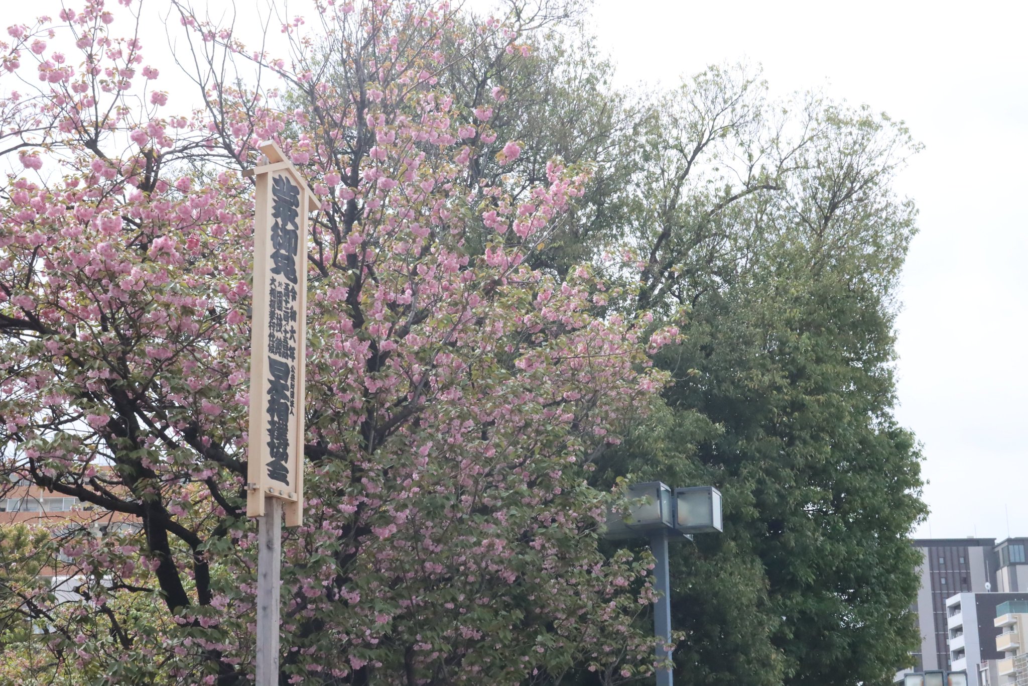 GLVIjYlbAAAqw7G.jpg:large