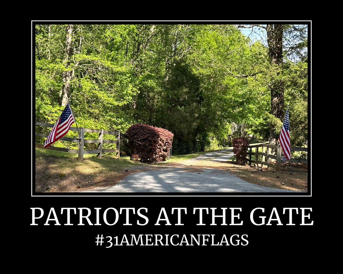 Spring season includes Azaleas, green grass & patriotic colors from a pair of American flags at the gate.🇺🇸
#31americanflags #ProudAmerican #kenthrives #georgiaonmymind