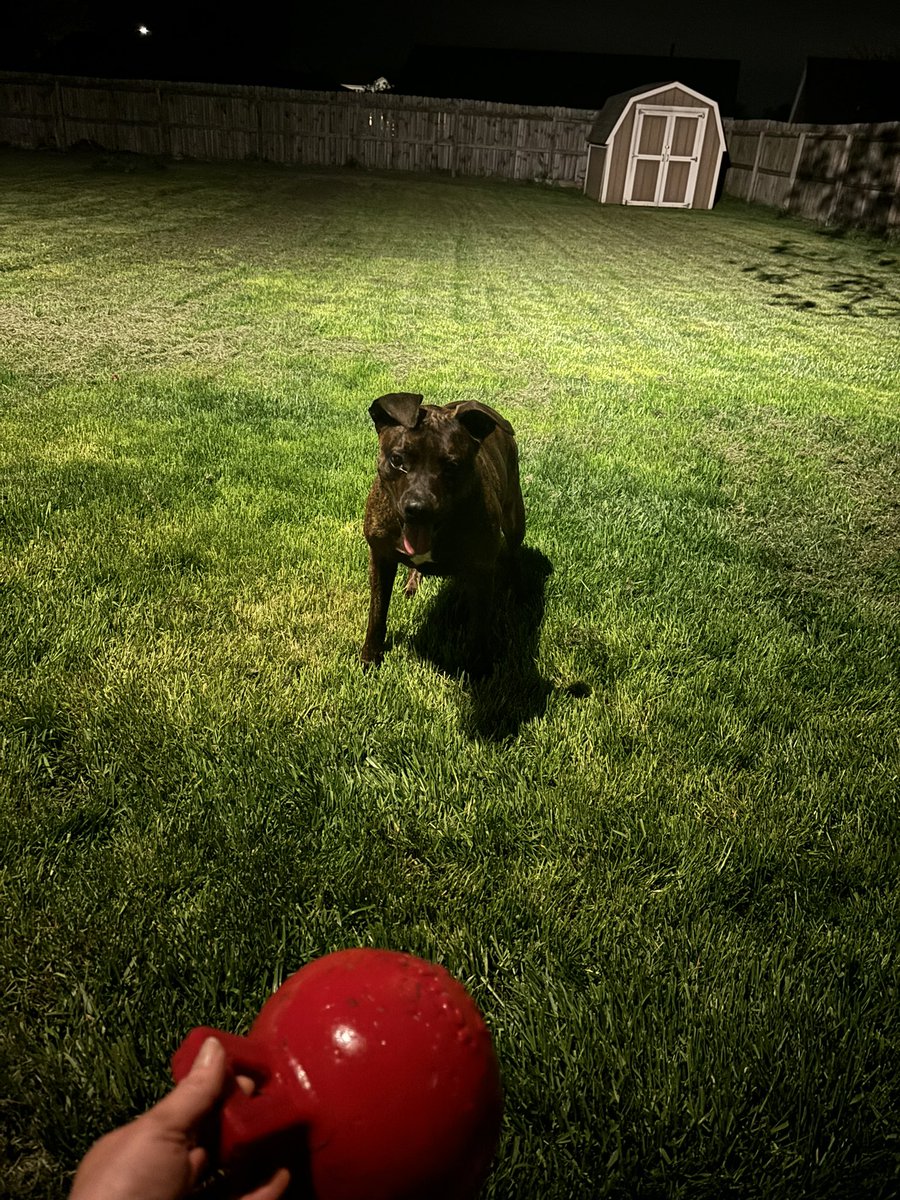 Ashley Hardbarger tweet media