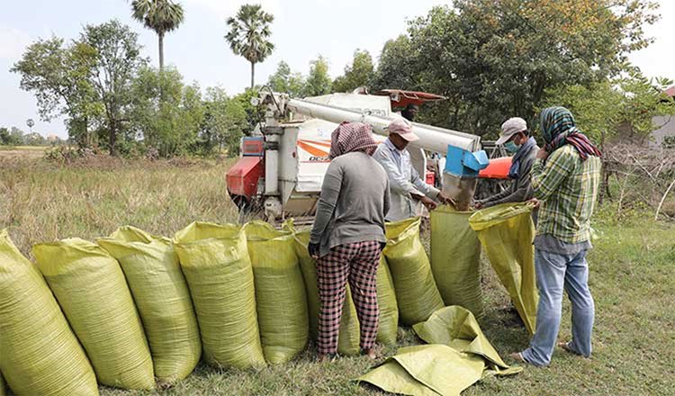 Cambodia's trade with ASEAN countries grew by 18.64% in Q1, with exports to Vietnam and Thailand leading the way.

To read more, visit- thebettercambodia.com/growth-in-camb… 

#CambodiaASEANTrade #Q1Growth #VietnamTrade #ThailandTrade #ExportsBoost #TheBetterCambodia #Cambodia