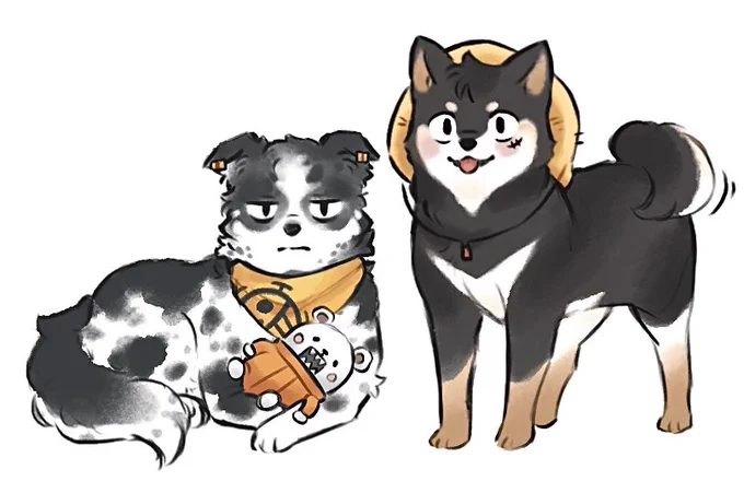 Some silly Law and Luffy doggos 