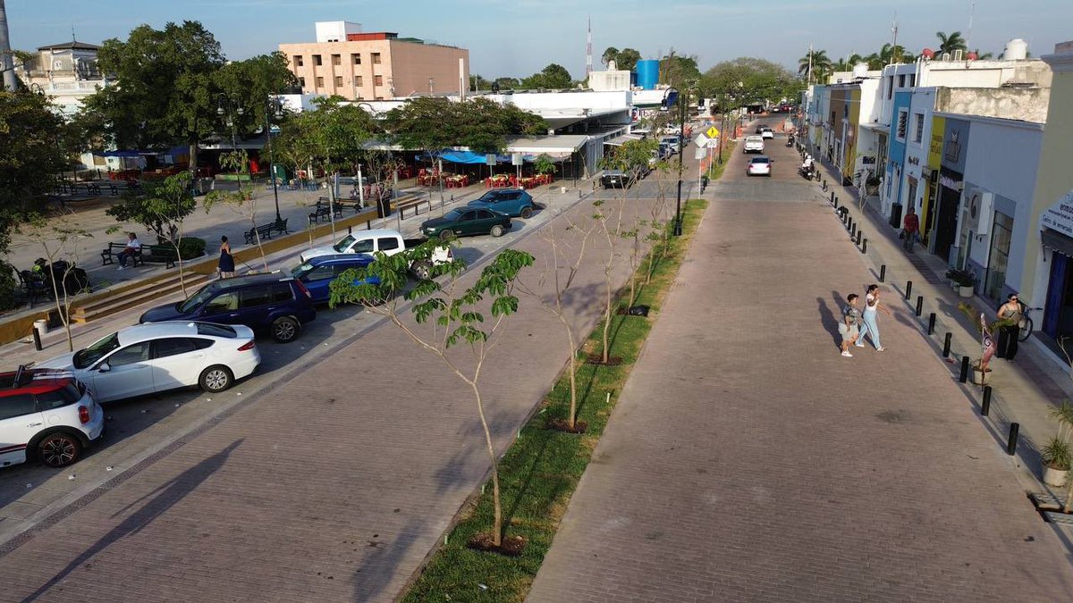 MauVila's tweet photo. ¡UN MILLÓN DE ÁRBOLES POR UN #YUCATÁN MÁS VERDE! 
 
Les informo que sembramos el árbol 🌳 un millón de la estrategia #ArborizandoYucatán en el Corredor Turístico Gastronómico de la calle 60 y 47, superando la meta establecida al inicio de nuestra administración de plantar 600 mil árboles en todo nuestro estado y fomentando la educación ambiental como servicio educativo para lograr un #Yucatán más sustentable.