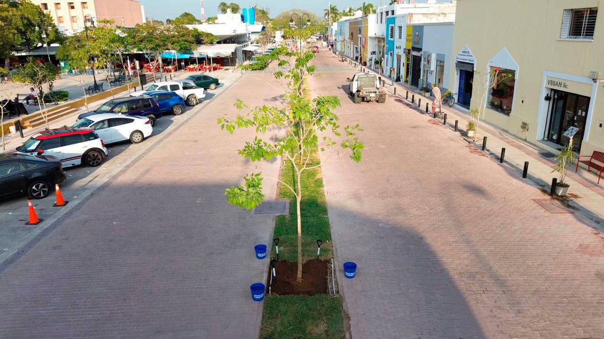 MauVila's tweet photo. ¡UN MILLÓN DE ÁRBOLES POR UN #YUCATÁN MÁS VERDE! 
 
Les informo que sembramos el árbol 🌳 un millón de la estrategia #ArborizandoYucatán en el Corredor Turístico Gastronómico de la calle 60 y 47, superando la meta establecida al inicio de nuestra administración de plantar 600 mil árboles en todo nuestro estado y fomentando la educación ambiental como servicio educativo para lograr un #Yucatán más sustentable.