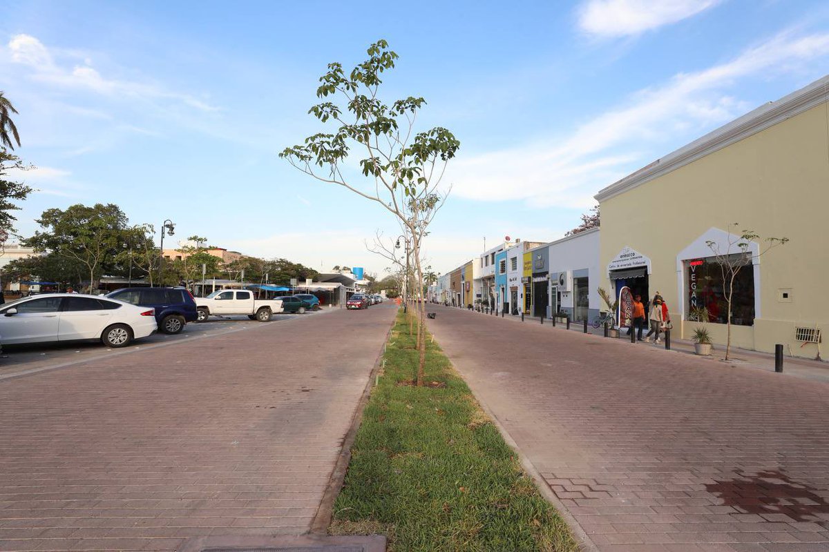 MauVila's tweet photo. ¡UN MILLÓN DE ÁRBOLES POR UN #YUCATÁN MÁS VERDE! 
 
Les informo que sembramos el árbol 🌳 un millón de la estrategia #ArborizandoYucatán en el Corredor Turístico Gastronómico de la calle 60 y 47, superando la meta establecida al inicio de nuestra administración de plantar 600 mil árboles en todo nuestro estado y fomentando la educación ambiental como servicio educativo para lograr un #Yucatán más sustentable.