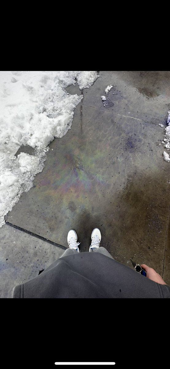 Joshua Portillo tweet media