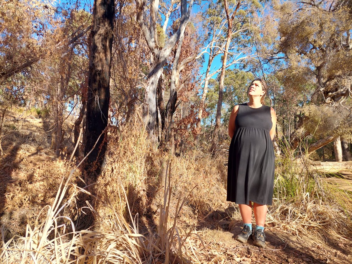 I grew up next to Whistlepipe Gully in Perth hills, Western Australia. Today I went to look at trees I’d walked under with my grandma when I was little, that I was looking forward to showing my baby, and they’re dead 😢 Experts are warning of “forest collapse” across southern WA