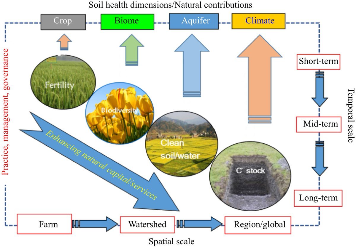 #SSE #WorldSoilDay

World Soil Day 2023 marks a decade of promoting soil-water relationships for resilient agrifood systems and human well-being. Let's conserve soil to safeguard water and life on Earth.

@EcologicalAR 

Details: maxapress.com/article/doi/10…