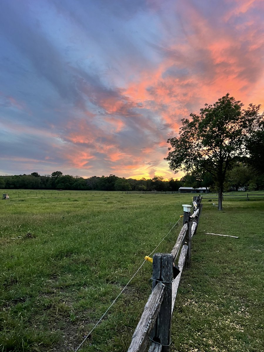 Sunsets this time of year are breathtaking 🤍 God is good! #TexasYall #TexasForever