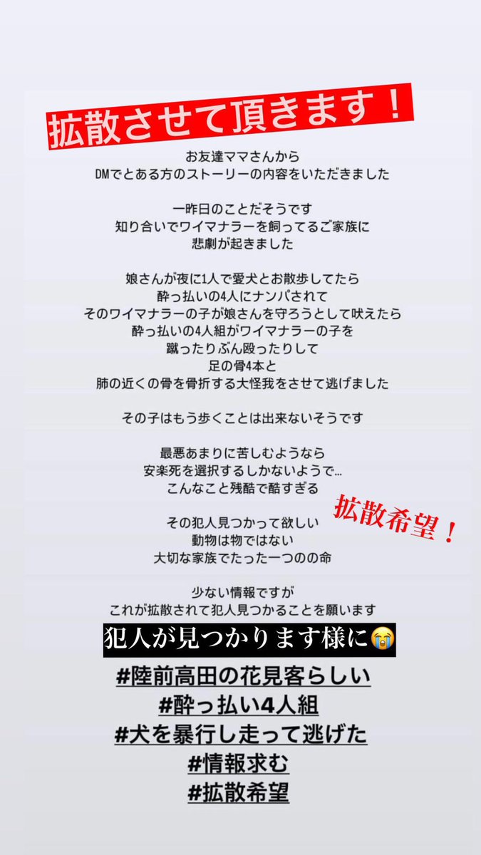 yukigoto0710's tweet photo. 大切なファンの方から拡散希望きました！
自分達のナンパが失敗に終わって、
女の子を守ろとしたワンちゃんを腹いせに4人で袋叩きにするなんて許せない。

命が奪われなかった事は不幸中の幸いですが、
まだ危ない状況です。

動物の事になると警察も大掛かりな捜査はしてくれないし、
このまま泣き寝入りしない為にもぜひ拡散お願いします‼️

日本は動物虐待に対する法律が甘すぎる。

対人間と同じ罪で裁けばいい。

#動物虐待 
#動物愛護 
#法改正 
#拡散RT希望 
#動物を守る