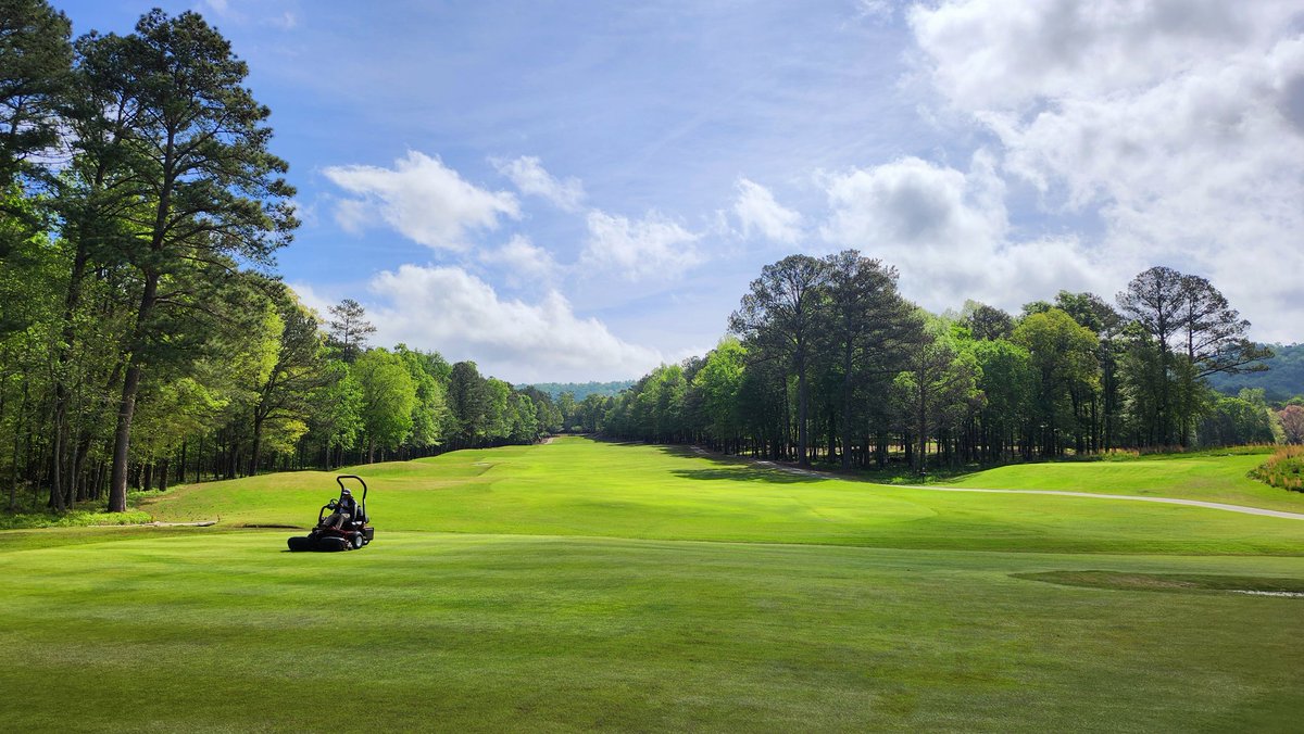 standardkev's tweet photo. Getting greenish out there.
#TheLegacyCourse
#AlabamaSpring https://t.co/PKFqkPyNob