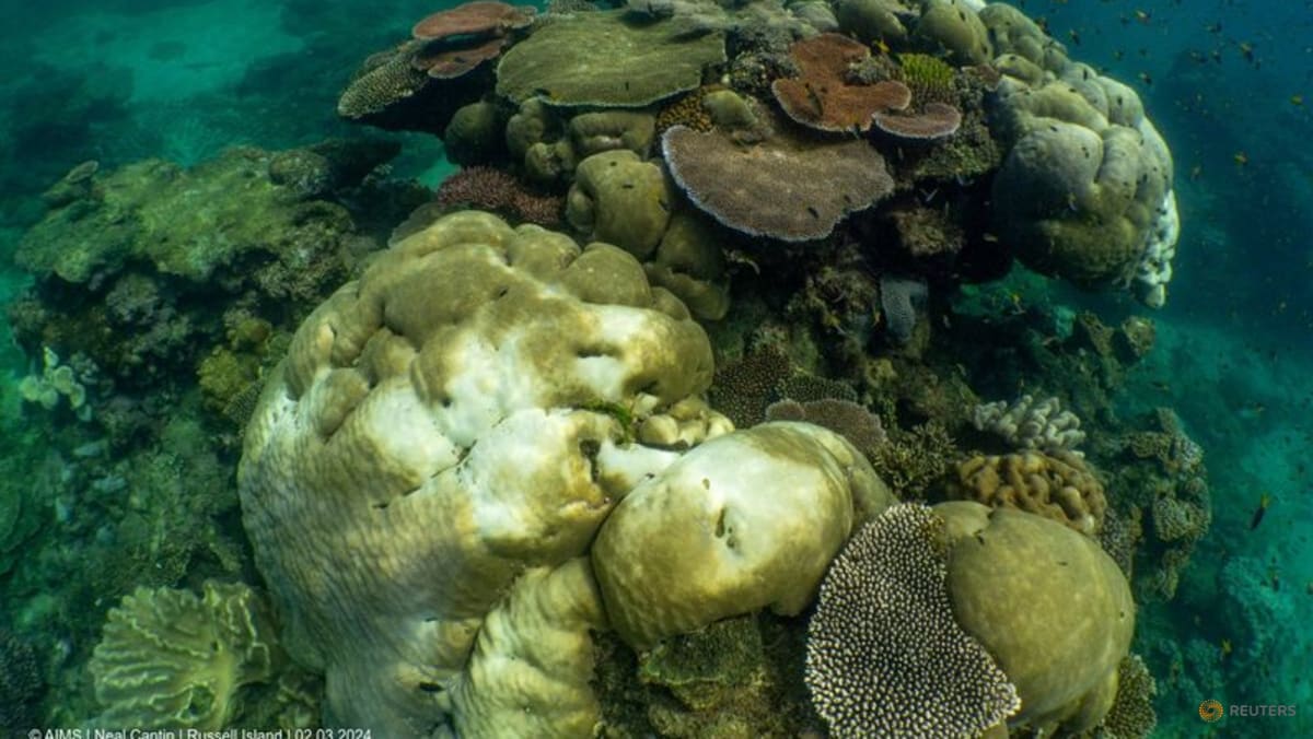 Australia's Great Barrier Reef hit by record bleaching todayonline.com/world/australi…