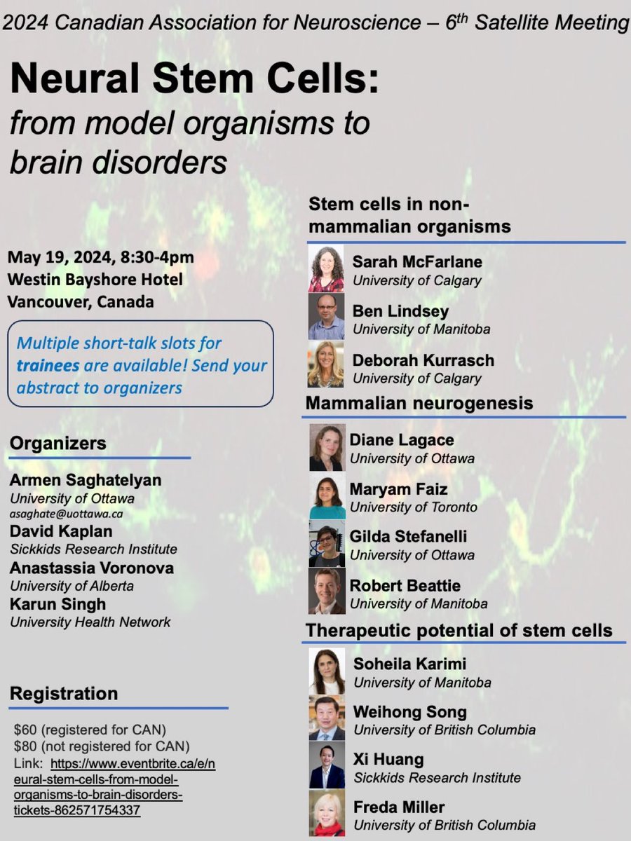 Don’t forget to sign up for the Neural Stem Cells satellite meeting at the 2024 CAN meeting @CAN_ACN .. spots still available for trainees to speak. Submit your abstract and sign up for the satellite meeting!!