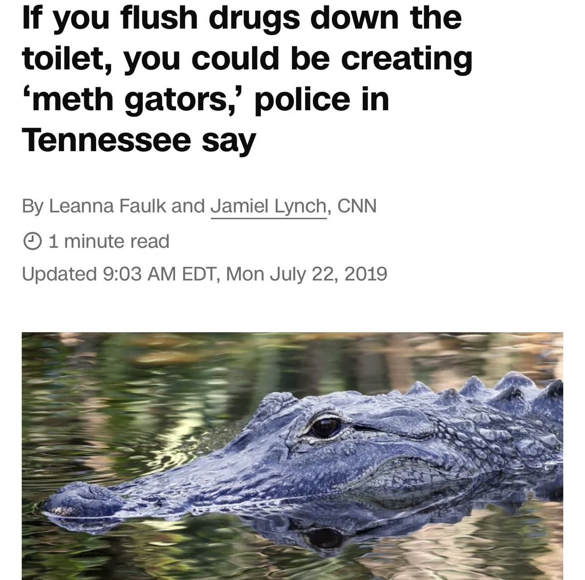 “Meth Gators”