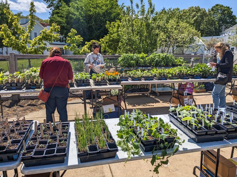 Lexington Montessori tweet media