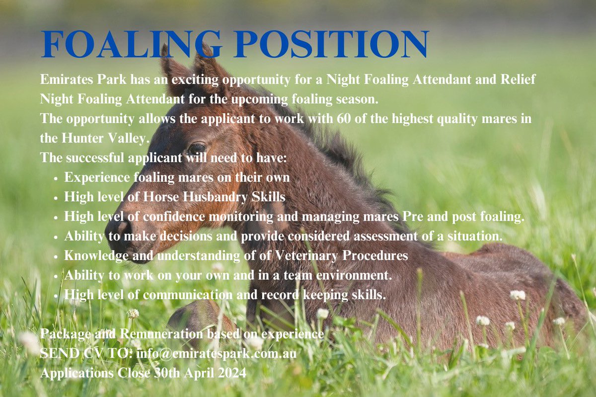 Job Vacancy: Looking for a person with previous foaling experience. Foal down quality mares in Australia. Working Holiday visas welcome to apply. @KYTbred @irishracing @BreednetNews @TB_NSW @HunterBred