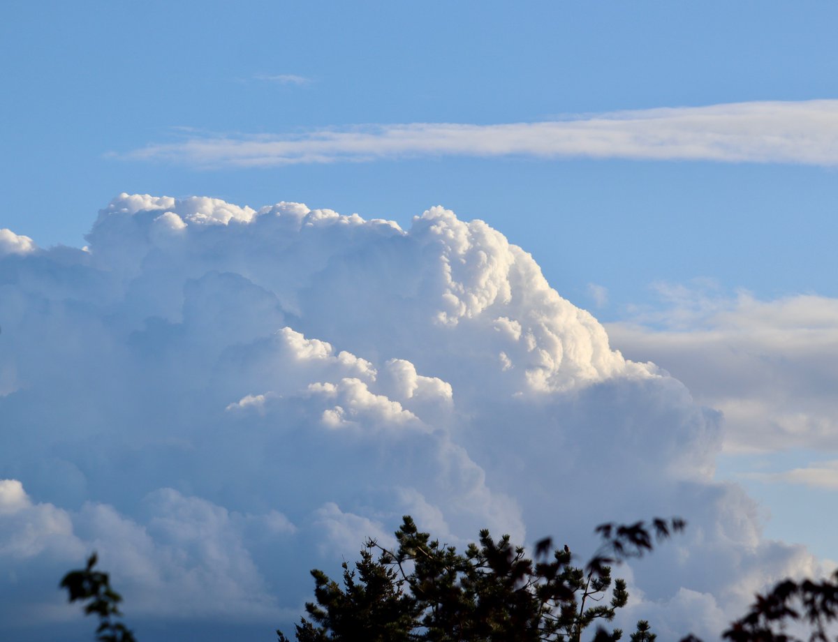 Great light on a towering cumulus cloud west of Chehalis, viewed from Federal Way! #wawx