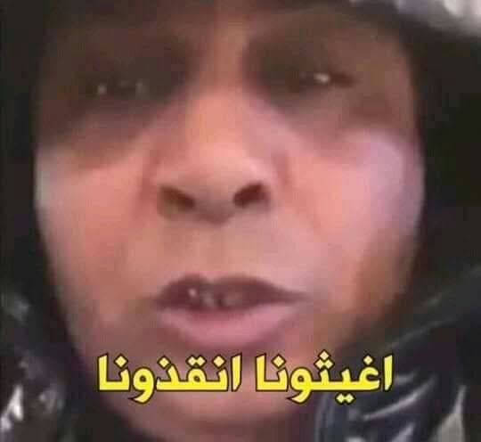 سلحفاة كسولة مش عايزة تروح الشغل بكرة