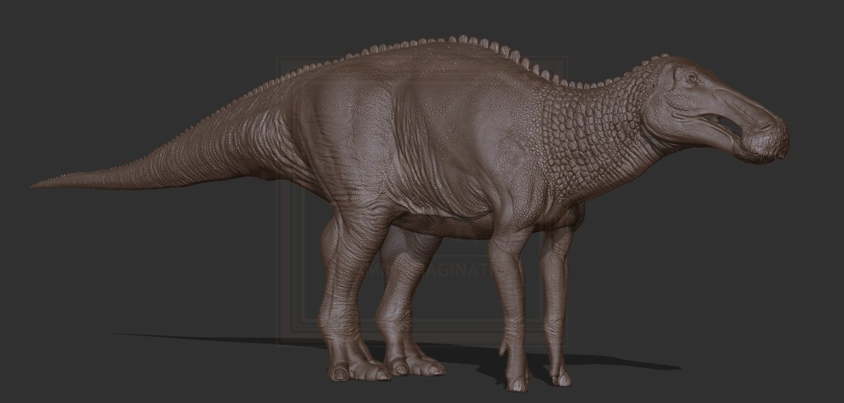 vitaimagination's tweet photo. 일단 스킨 조각은 거의 다 끝나감....
First of all, the skin sculpting is almost finished....
Edmontosaurus annectens skin W.I.P 95%

#Edmontosaurus #annectens #zbrush #skin #dinosaurs https://t.co/SqwJxAx3px