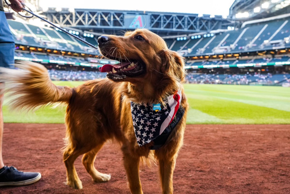 Dbacks's tweet photo. Best. Day. Ever. 🐶 https://t.co/aEiXW7lnso
