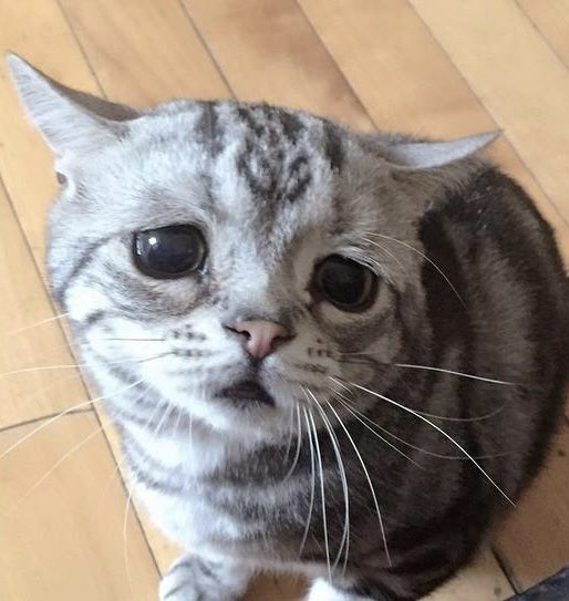 不抱希望的問問看😭
還有沒有老師有檔期可以接5月交稿的委託嚶嚶嚶