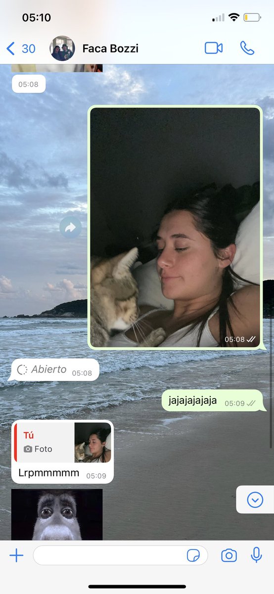 belulobenstein's tweet photo. uno nuevo https://t.co/Y8zfaow7jS