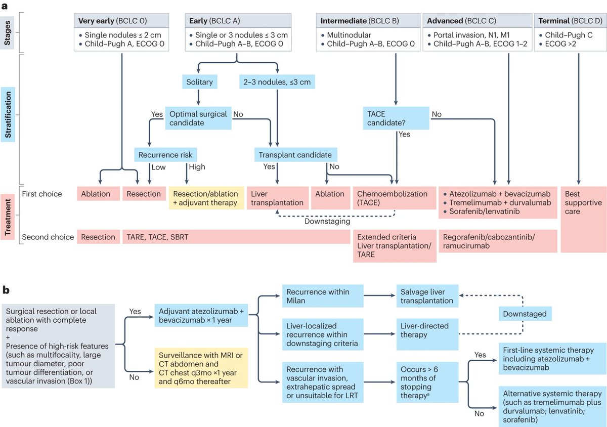 Useful flowchart  for treatment  algorithm for HCC in 2024.  Published in @NatRevClinOncol