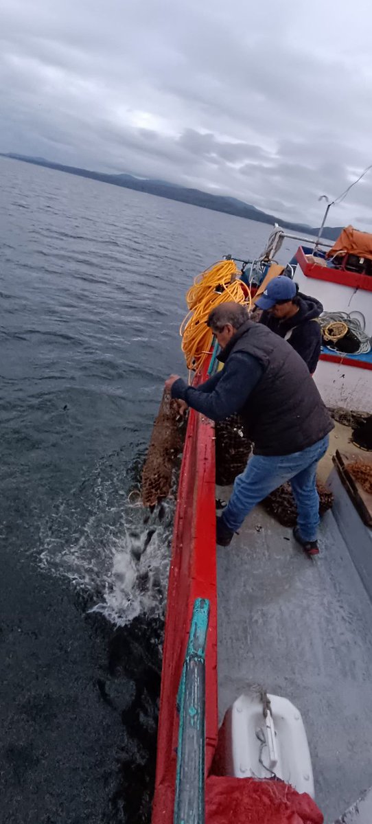 La Autoridad Marítima de Melinka junto a  @Sernapesca sorprendió dos embarcaciones de la región de Los Lagos con un total de  1.9 toneladas de Mytilus chilensis, (Choro)  ilegales, en cercanías de canal Puquitín en la región de Aysén
#QuintaZonaNaval @Armada_Chile