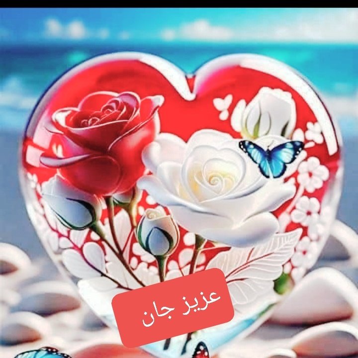 BnfshhS's tweet photo. #تصویرنمایه‌جدید https://t.co/guDbkvv6dj