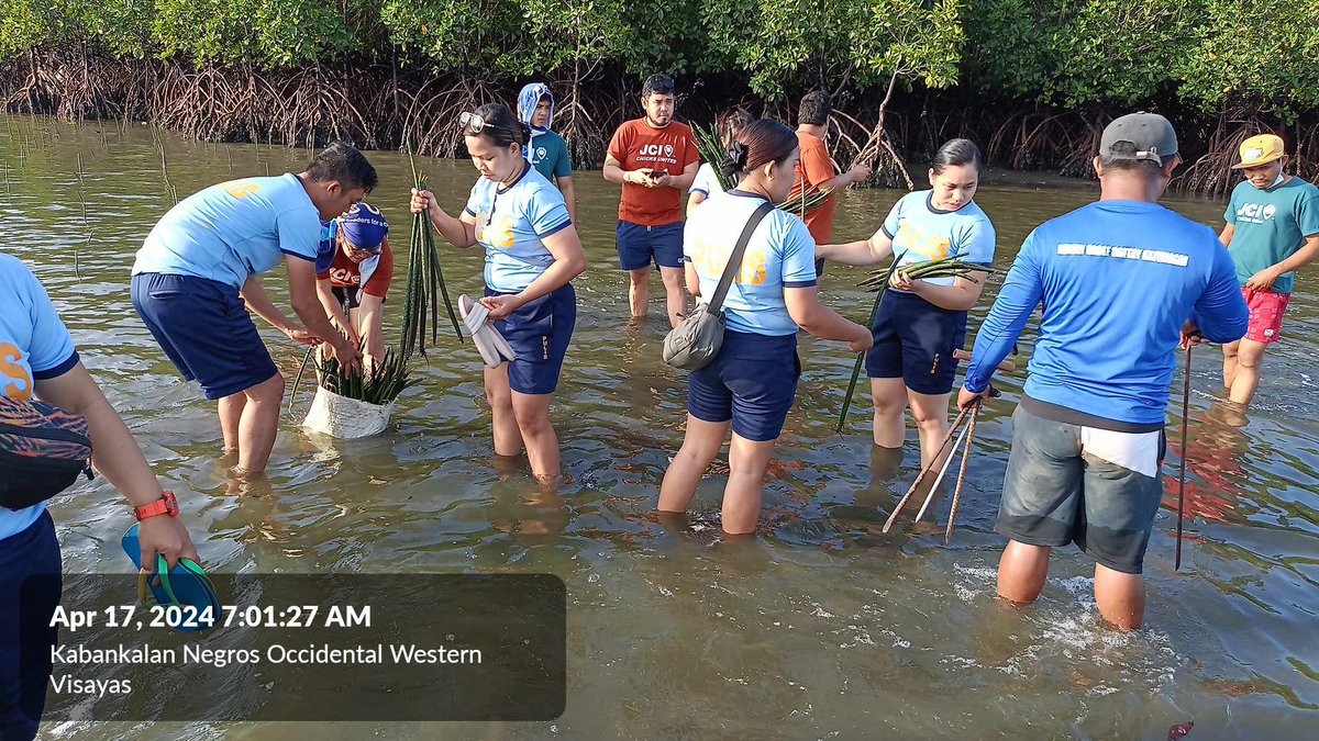 KabankalanPCR's tweet photo. Kabankalan CCPS personnel under the supervision PLTCOL ROBERTO V INDIAPE JR, OIC together with JCI CHICKS United, 604th Company, RMFB6 &amp; Bantay Dagat K atunggan members (KALIGKASAN) conducted Mangrove Planting held at Sitio Bagacay, Barangay Daan Banua, Kabankalan City. https://t.co/2oD0uuRuF2