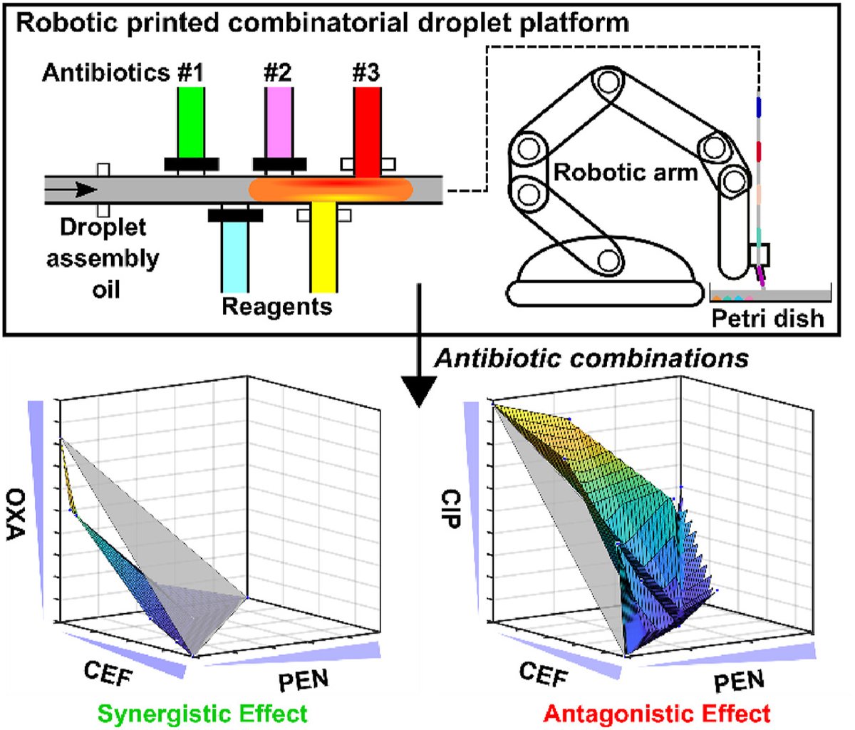 Article✍️Automated and #miniaturized screening of #antibiotic combinations via #robotic-printed #combinatorial #droplet platform. From Dr. Wang @JohnsHopkins; @jhumeche; @JHUBME; @ELSpharma. sciencedirect.com/science/articl….