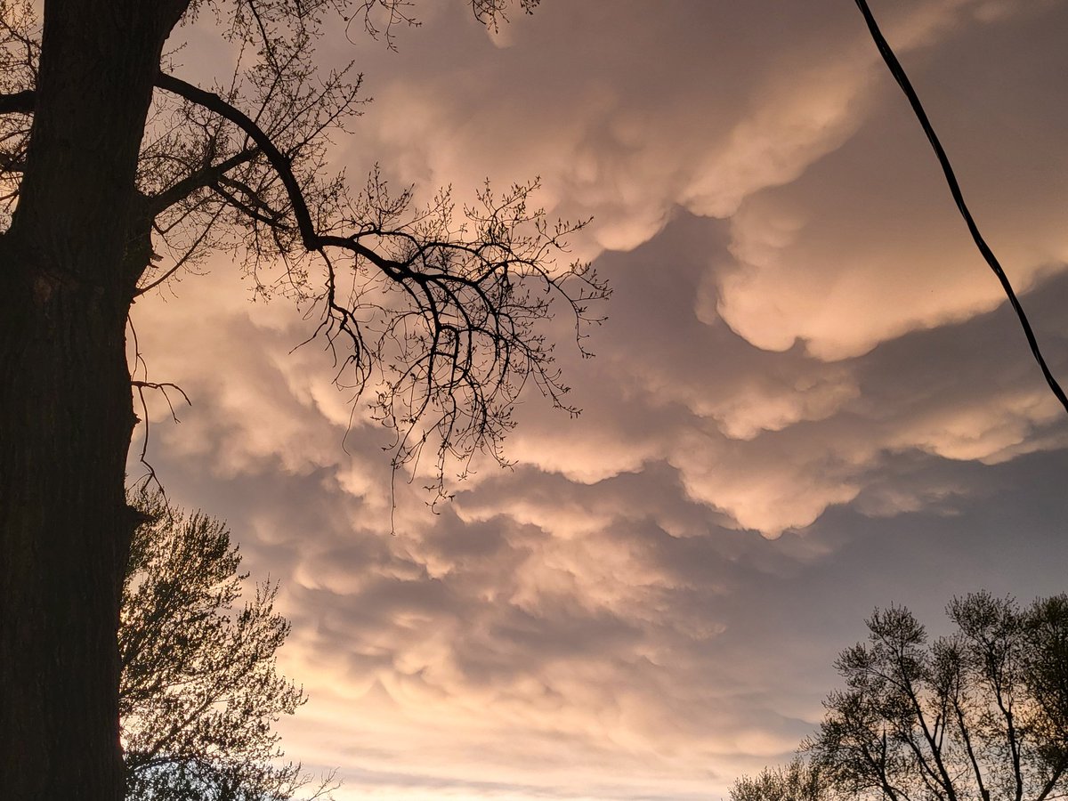 Clouds I took in the late evening. These clouds look like a painting
#clouds #cloudphotography