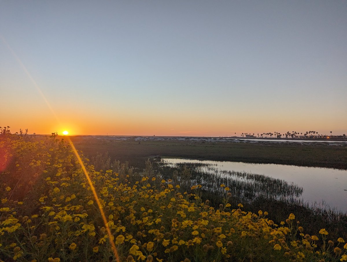 Princess_Linden's tweet photo. Man the sunset looks beautiful today. 🥹
#sunset #walk #vtuber https://t.co/XOFnDUv3CE