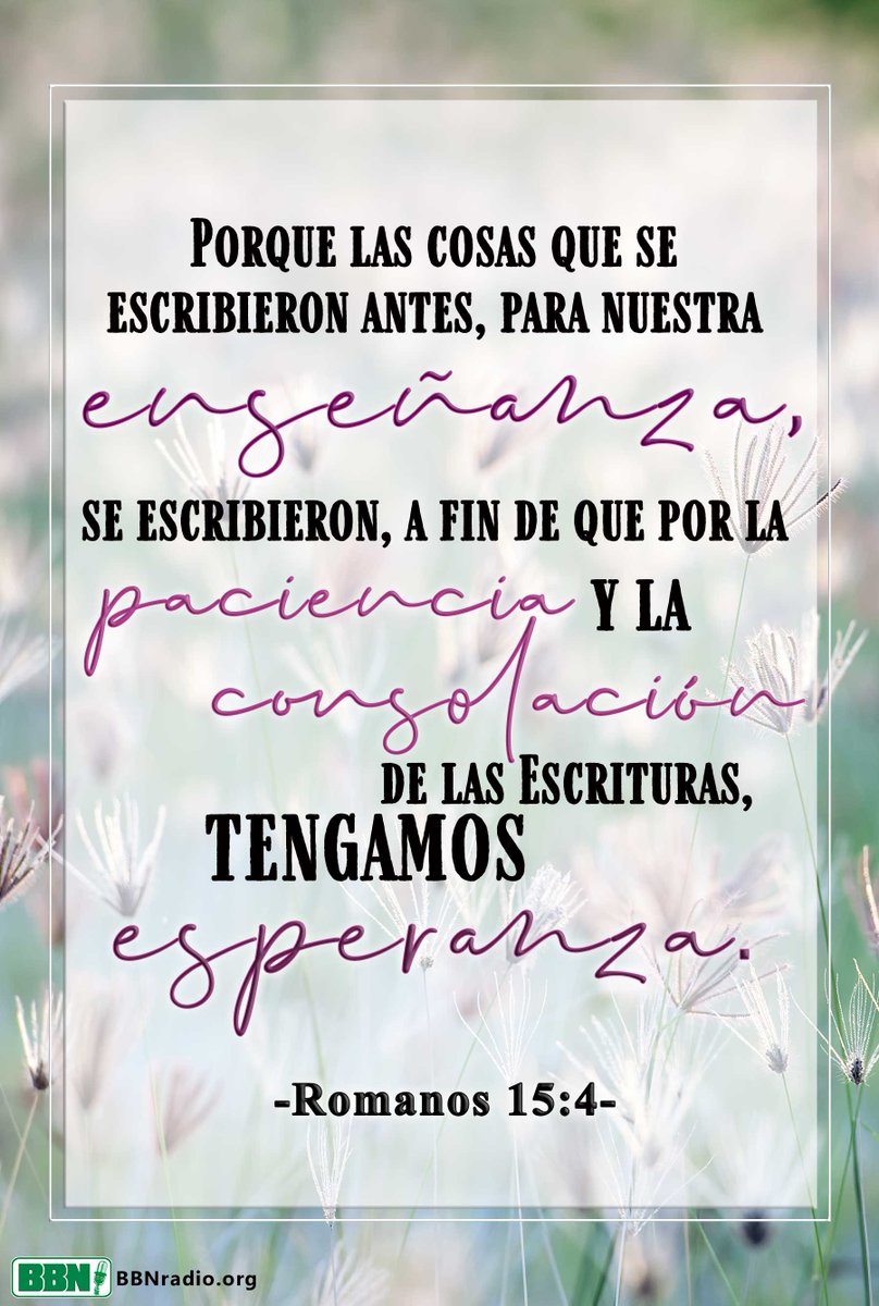 BBNEspañol tweet media