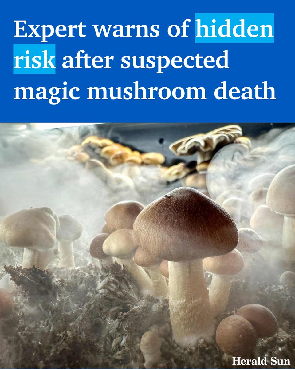 Deaths from magic mushrooms are “extraordinarily rare” but foragers can easily confuse them with lethal fungi such as death caps, a leading Melbourne toxicologist has warned. > bit.ly/4aDW8Na